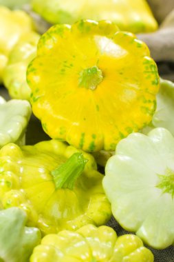 Patty Pan Squash