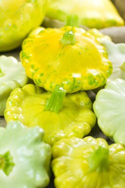 Patty Pan Squash