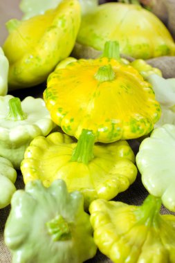 Patty Pan Squash