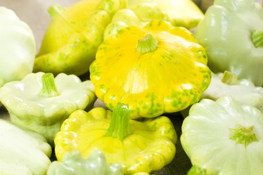 Patty Pan Squash