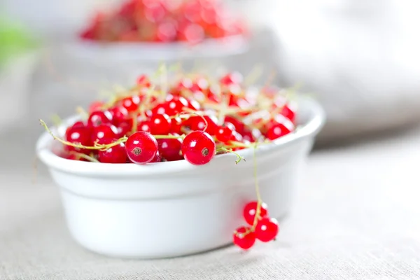 Ribes rosso sulla ciotola bianca — Foto Stock