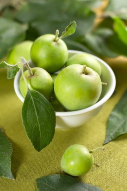 Small apples in the bowl and green leaves clipart