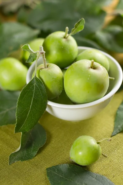 Malá jablka v misce a zelenými listy — Stock fotografie