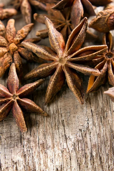 Yıldız anason Wood — Stok fotoğraf