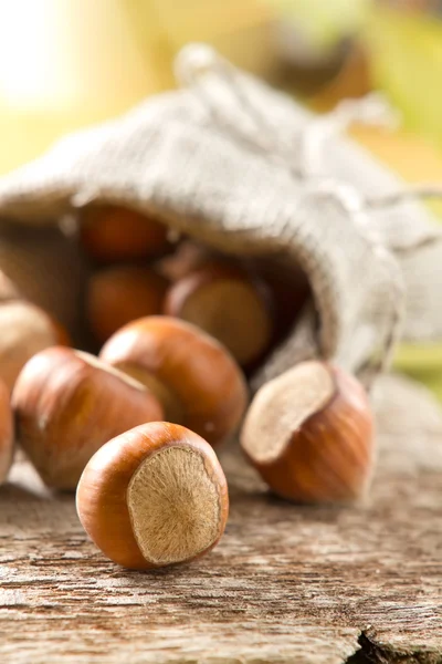 Lískové ořechy (ořech) — Stock fotografie