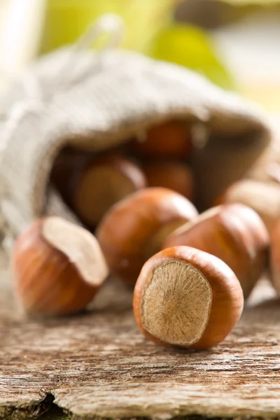 Hazelnuts (filbert) — Stock Photo, Image