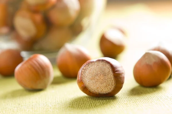 Hazelnuts (filbert) — Stock Photo, Image