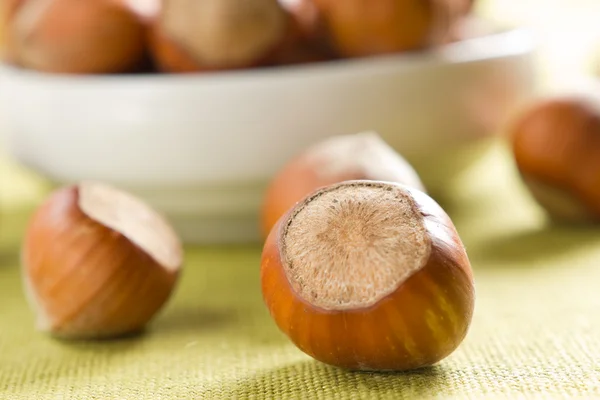 stock image Hazelnuts (filbert)