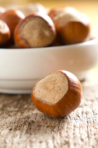 Lískové ořechy (ořech) — Stock fotografie