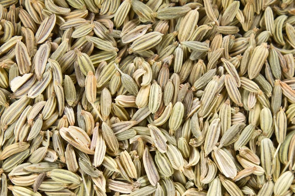 Fennel seeds background — Stock Photo, Image