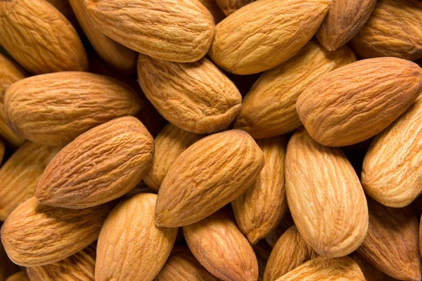 stock image Almonds