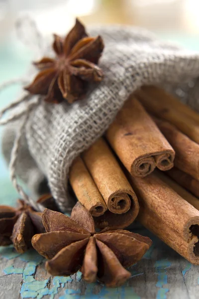 Cinnamon and anise in a small burlap sack — Stock Photo, Image