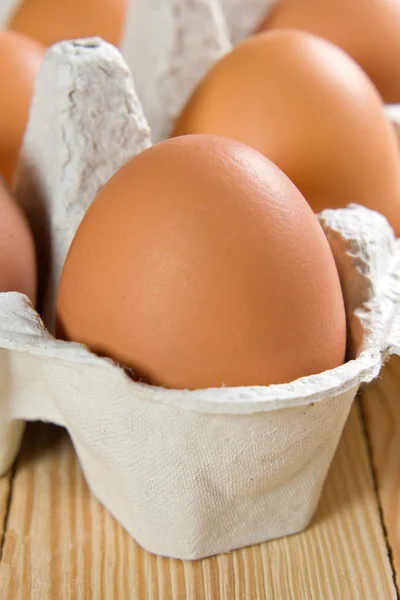 Chicken brown egg closeup — Stock Photo, Image