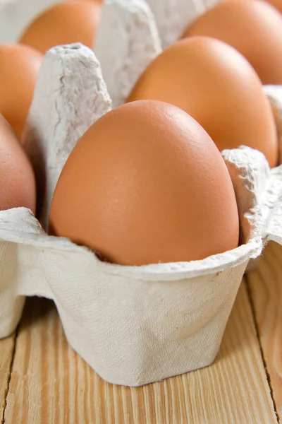 Pollo huevo marrón primer plano — Foto de Stock