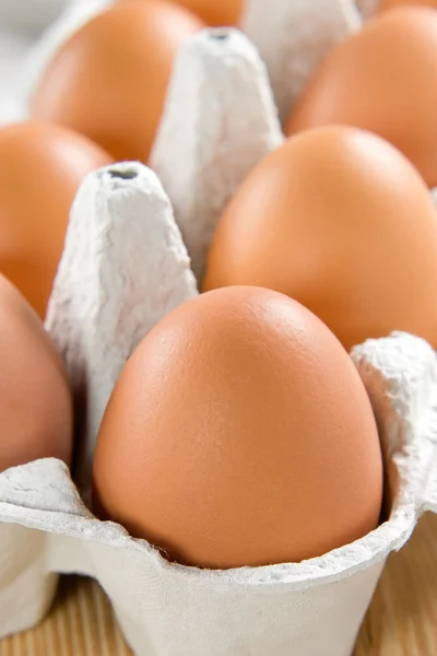 鶏の茶色の卵のクローズ アップ — ストック写真