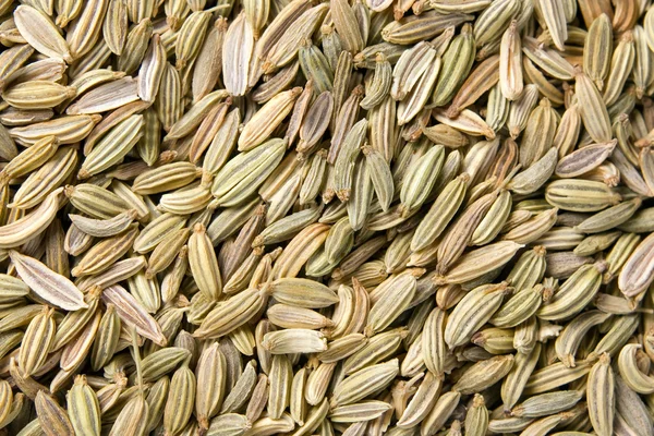 Fennel seeds background — Stock Photo, Image