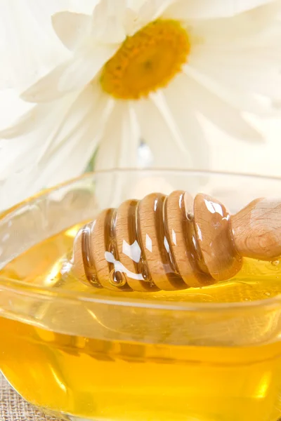 Мёд. — стоковое фото