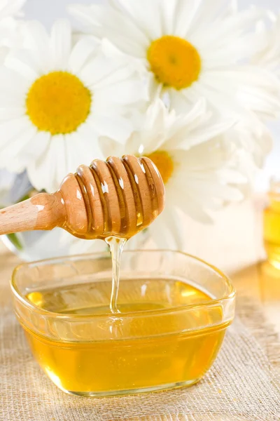 Honey. — Stock Photo, Image
