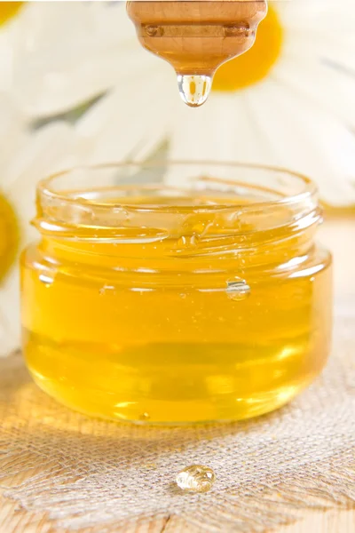 stock image Honey