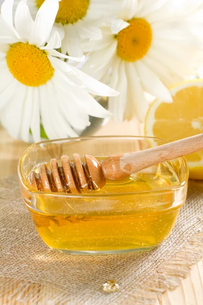 Honig mit Zitrone — Stockfoto