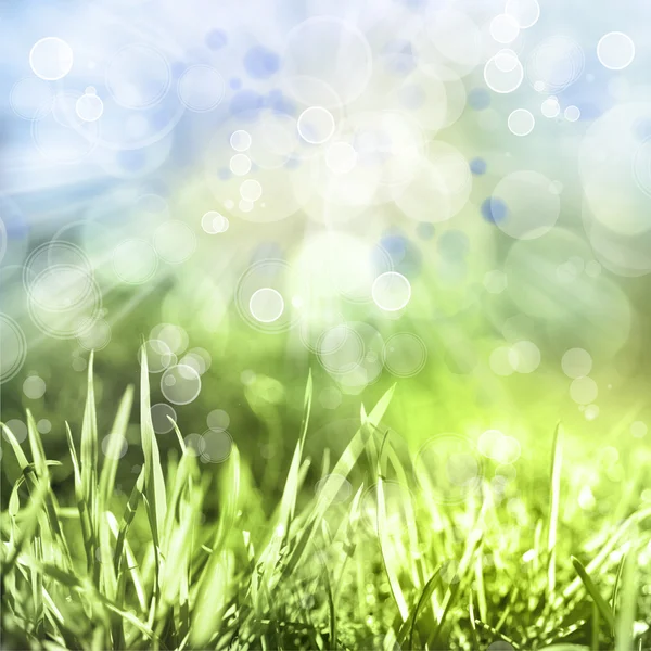 Gras und Himmel — Stockfoto