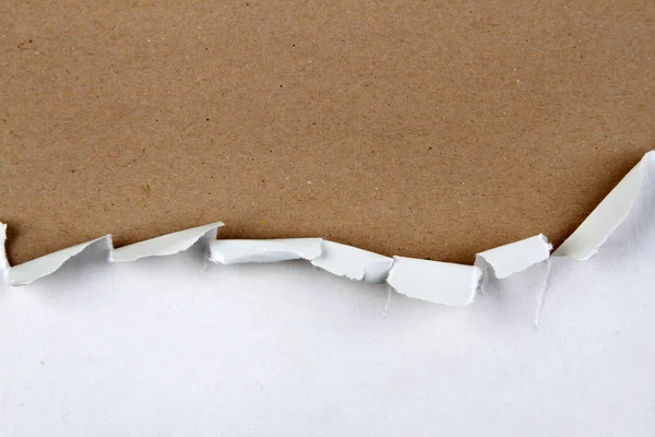 Ripped paper — Stock Photo, Image