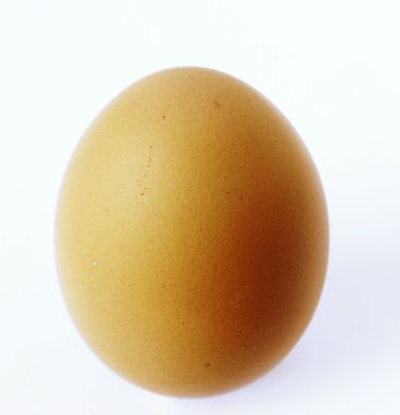 Single egg isolated on plain background clipart