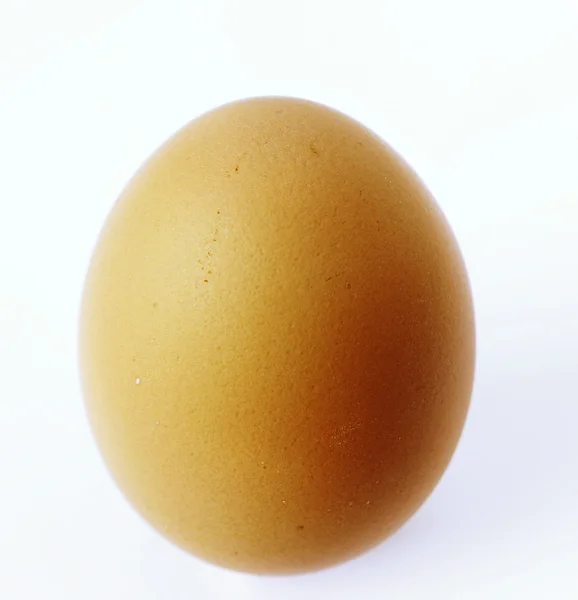 Enda ägg isolerad på enfärgad bakgrund — Stockfoto
