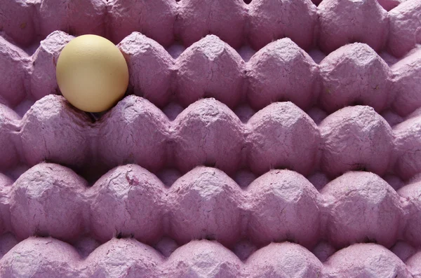 Uovo su vassoio — Foto Stock