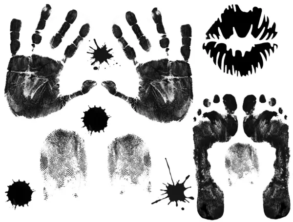 Empreintes de pieds, doigts, lèvres et mains — Image vectorielle