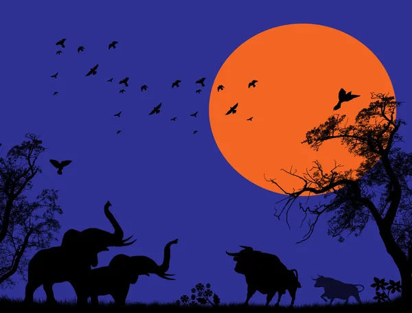 Elephants and bulls at blue sunset — Stock Vector