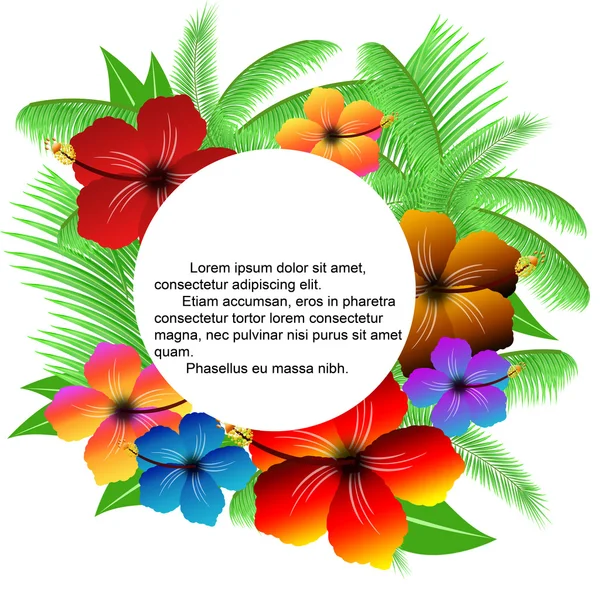 Marco de hojas de palma y hibiscos — Vector de stock