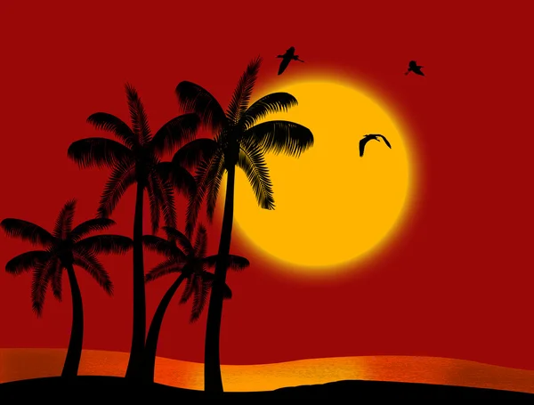 Sunset on tropical paradise — Stock Vector