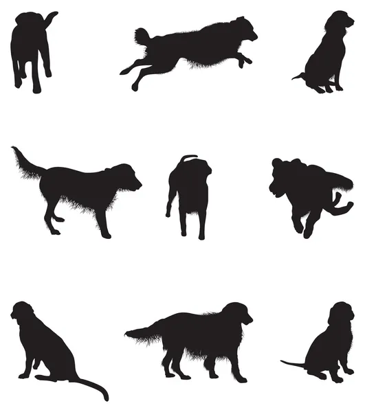 Dog silhouettes — Stock Vector