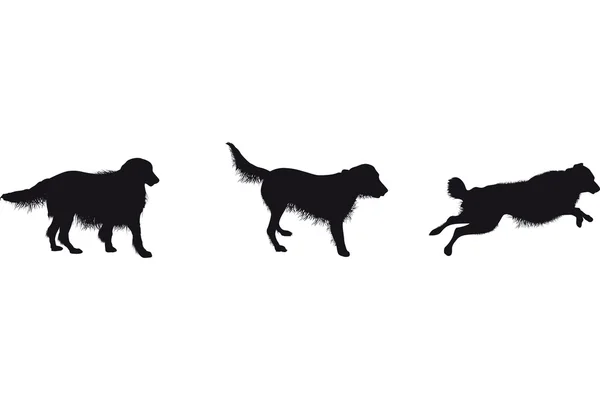 Силуэты для собак — стоковый вектор