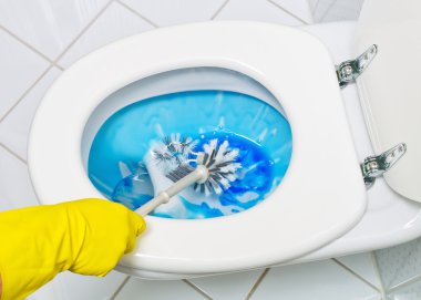 Cleaning the toilet clipart