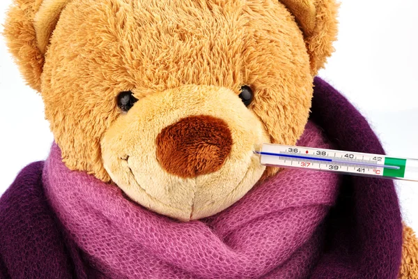 Urso de pelúcia com termômetro — Fotografia de Stock