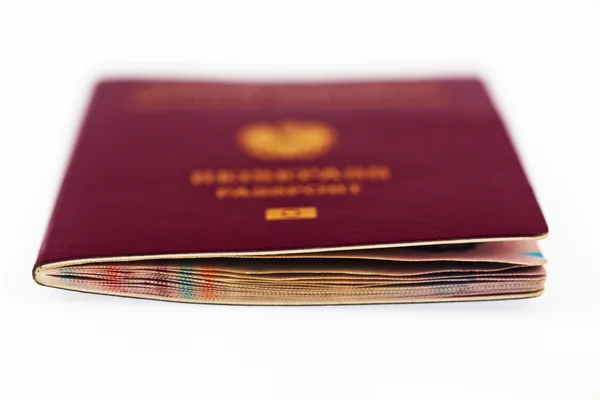 여권 — 스톡 사진