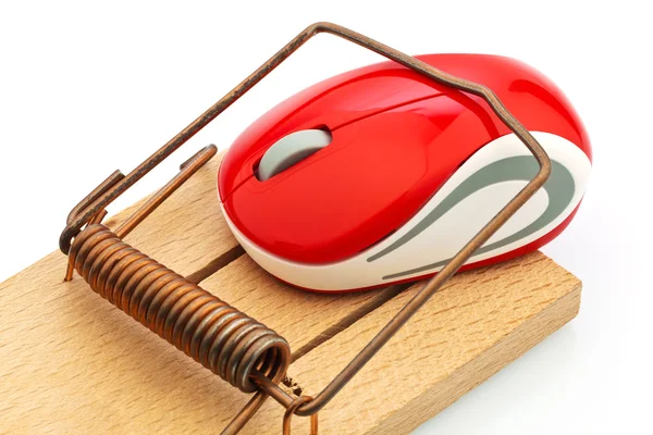 Computer mouse in mousetrap — Stock Photo, Image
