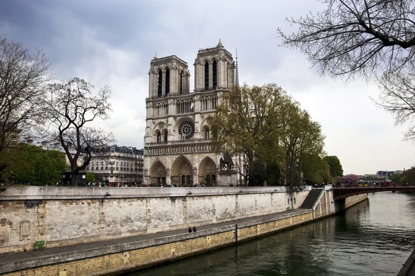 法国巴黎。巴黎圣母院 — 图库照片