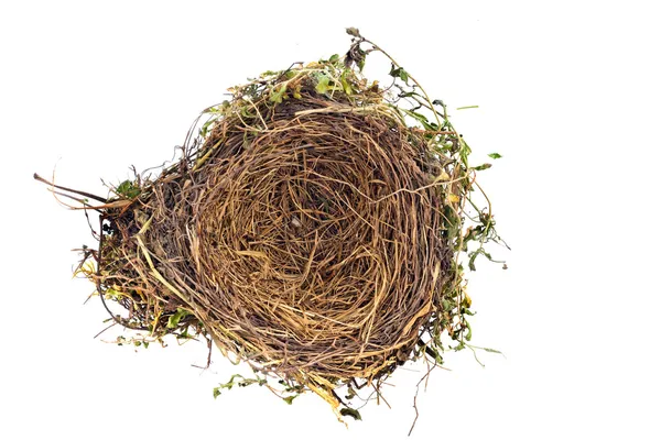 stock image Empty bird's nest