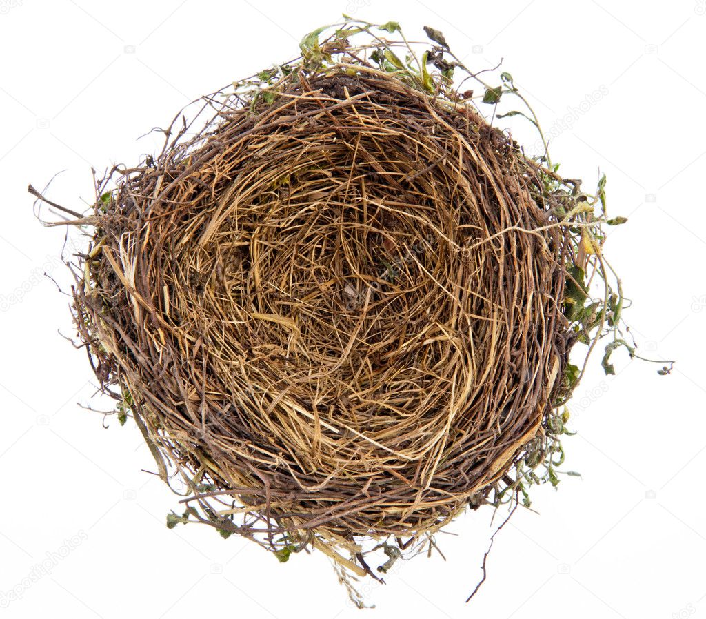 depositphotos_10963711 stock photo empty birds nest