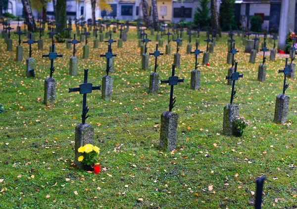 Каменная могила на кладбище — стоковое фото