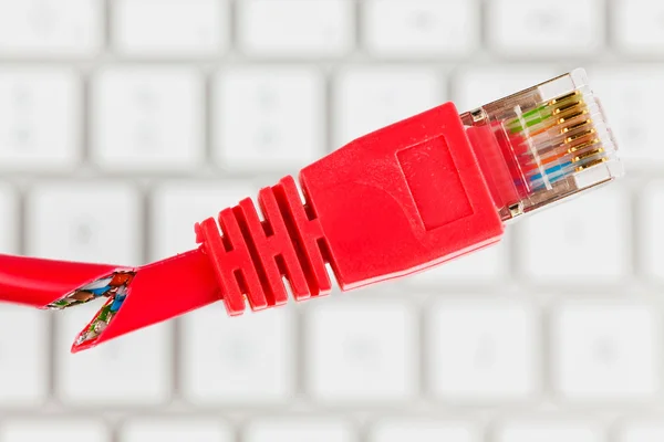 一台计算机的网络电缆 — 图库照片