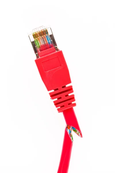 Câble réseau depuis un ordinateur — Photo