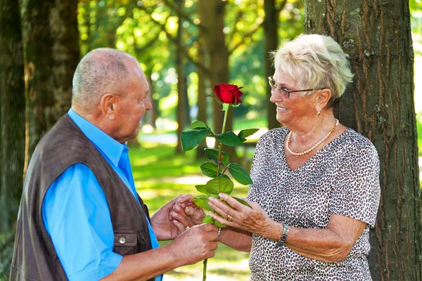 Παλαιότερα ηλικιωμένο ζευγάρι στην αγάπη. — Φωτογραφία Αρχείου