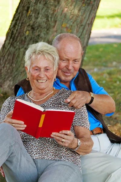 Mayores pareja de ancianos enamorados . — Foto de Stock