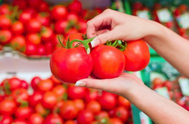 Fresh tomatoes in a supermarket shelf clipart