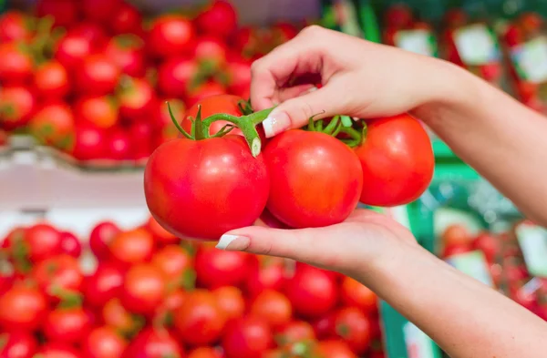 Свежие помидоры на полке супермаркета — стоковое фото