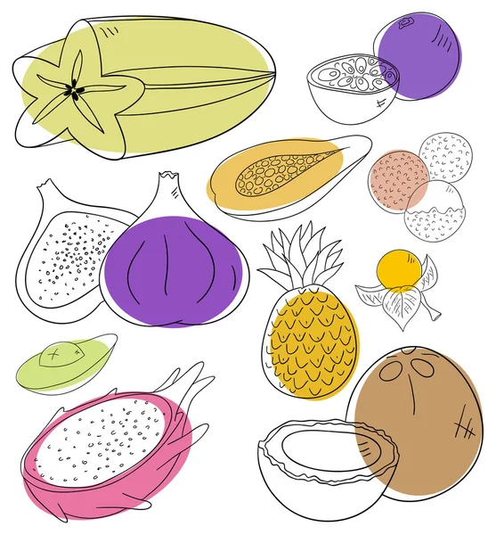 Exotic fruits — Stock Vector